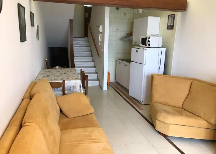 Zipser Ii غرادو